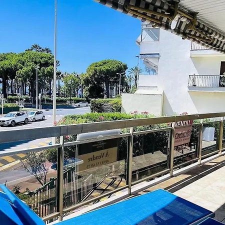 Palm Cannes