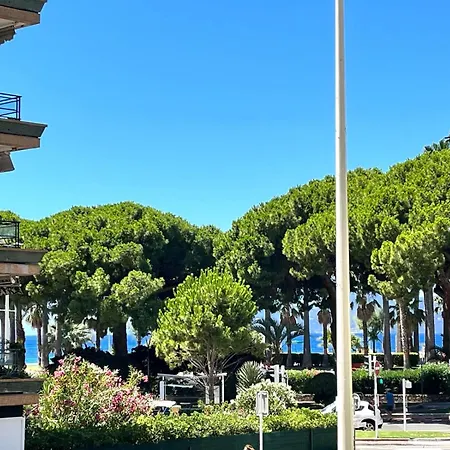 Palm Apartment *
