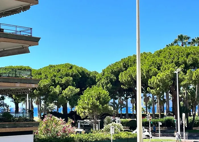 Palm Apartman *