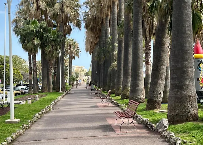 Palm * Cannes
